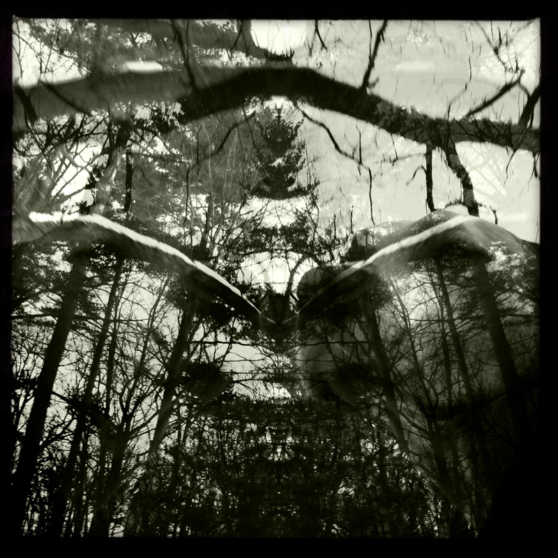 Illustration for article titled Shooting Challenge: Double Exposure, Gallery 2